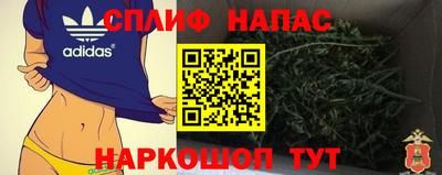 прущие грибы Заводоуковск