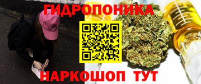 прущие грибы Заводоуковск
